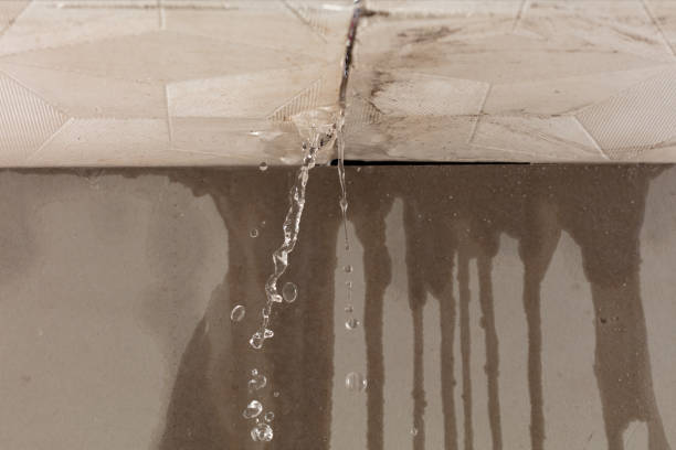 Professional Flood Damage Cleanup technician working in Rutland, SD